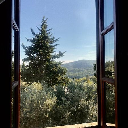Room In Bb - Agriturismo Sottotono, Nature And Relax Carmignano Eksteriør bilde